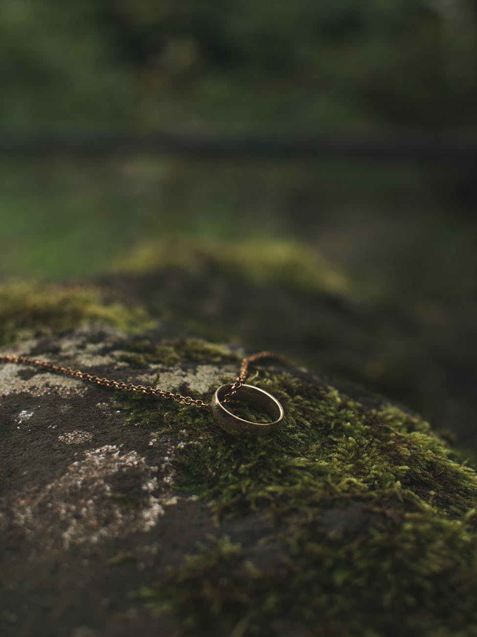 Zenvia Gold - Gold Jewellery Collection